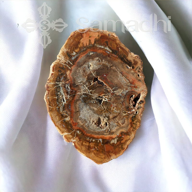 Fakövület ásvány szelet